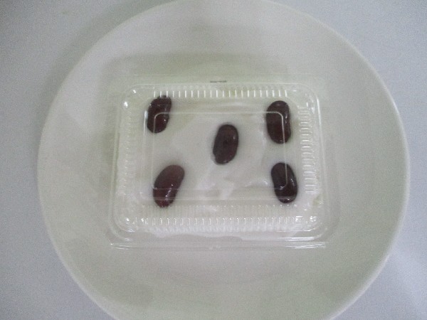 ข้าวเหนียวหน้านวล