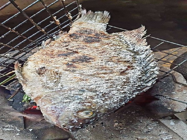 ปลานิลเผาเกลือ(ฮาลาล)(รับ 13เมย.69)